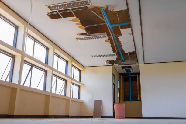 Best Basement water damage restoration  in Fort Pierce South, FL