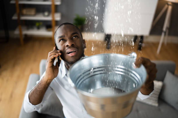 Best Carpet water damage restoration  in Fort Pierce South, FL