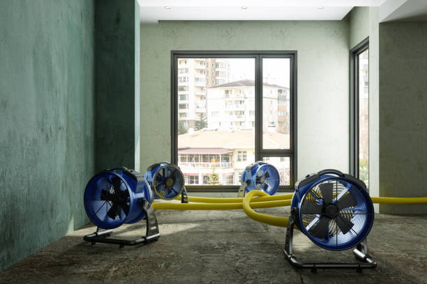 Best Flood restoration services  in Fort Pierce South, FL